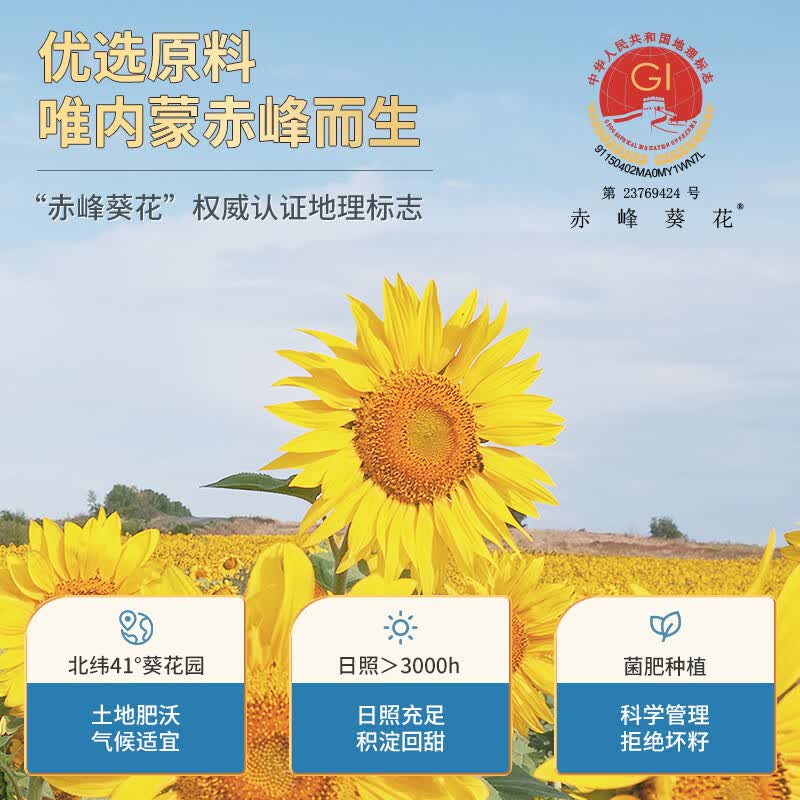 赤川 生瓜子5斤（品种363） 内蒙古生葵花籽 大颗粒散装湿瓜子年货