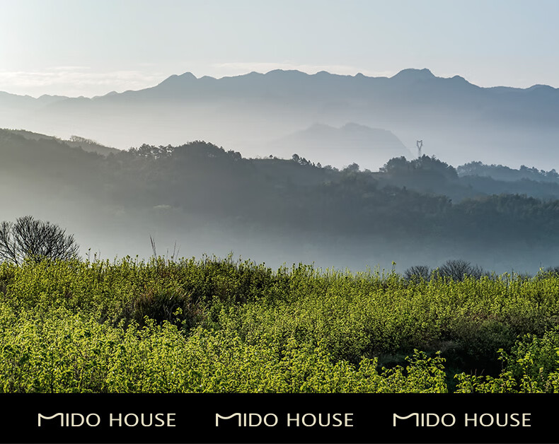 MIDO HOUSE Mingdu 60% Pure Cotton Silk Comforter, 100% Silk Spring And Autumn Quilt, Four Seasons Duvet, 220*240cm 3