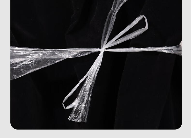 BJ Disposable Gloves Individually Wrapped Thickened Takeout Crayfish Catering Food Grade PE Plastic 200 Small Packs 11