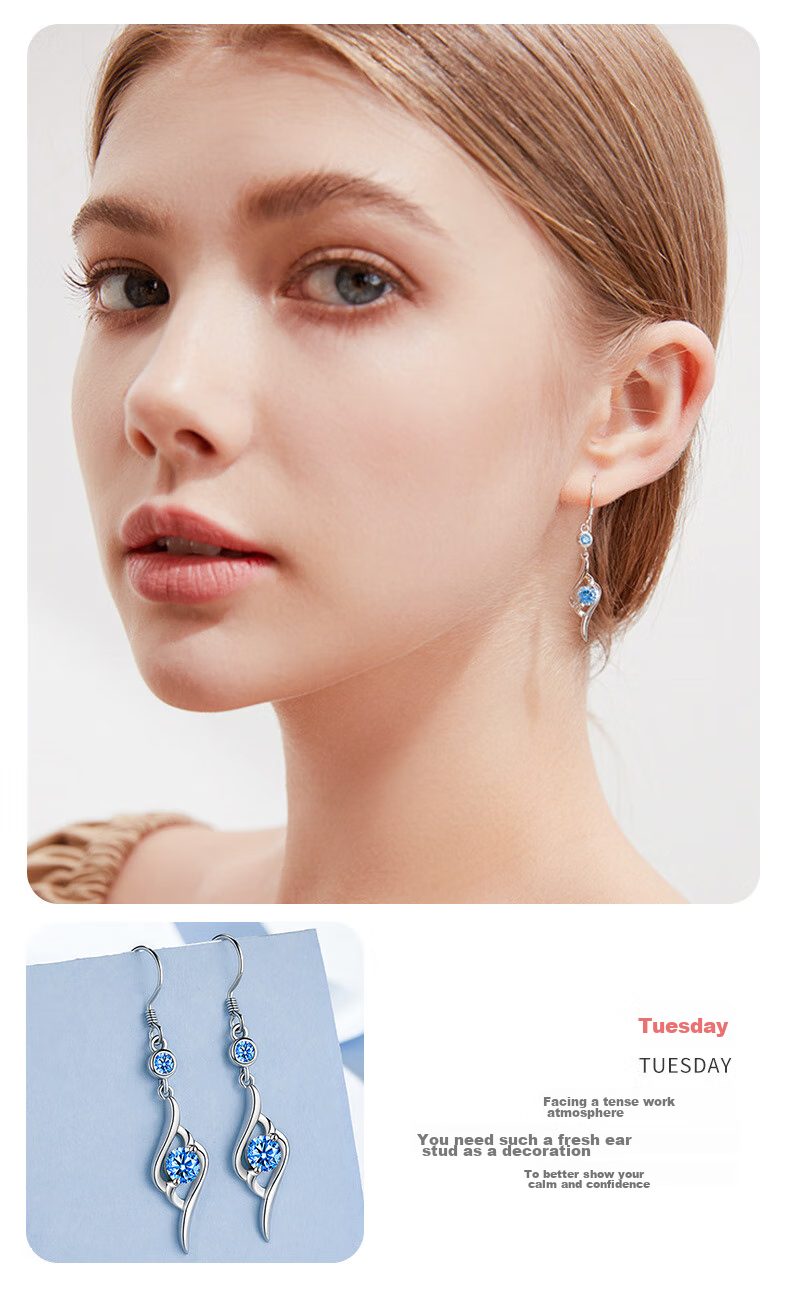 Dijing 999 Sterling Silver Earrings for Women, 2026 New Style Weekly Studs, Elegant High-End Ear Drops, Birthday Gift for Women And Wives 7