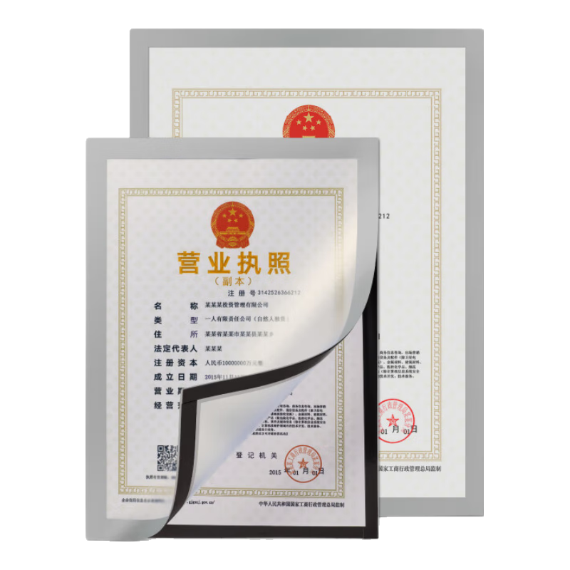 DSB A4 Magnetic Display Stand, Protective Cover, Business License Display Frame, Certificate Holder, Award Wall-Mounted Magnetic Sticker, Honor Photo Frame, Empty Frame, Magnetic File Holder, Silver D12S1