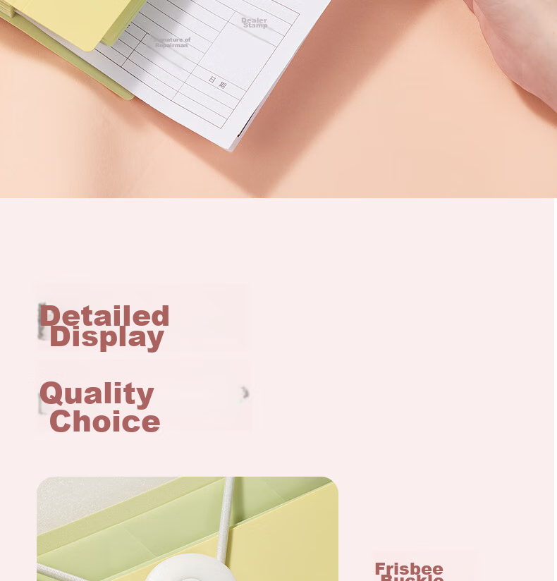 Deli A4/8 Pocket Accordion File Folder, Document Organizer Handbag, File Storage Folder for Primary, Middle And High School Exam Papers And Receipts, Document Protection Mixed Color PM303 13