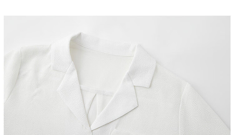 Dme [Low-Key, High-Quality Comfort] Spring And Autumn Suit Collar Long-Sleeve Shirt, Textured Jacquard Blouse, Women's Top 17