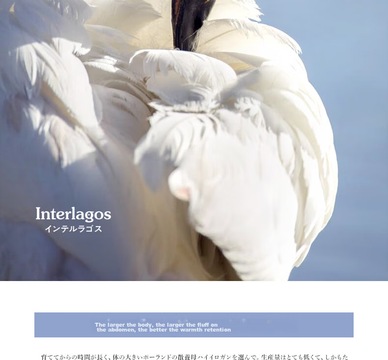 Interlagos 98% White Goose down Duvet, 180 Count Cotton Fabric, Imported from Japan, Winter Comforter 1200g, Thickened Version, 200*230 11