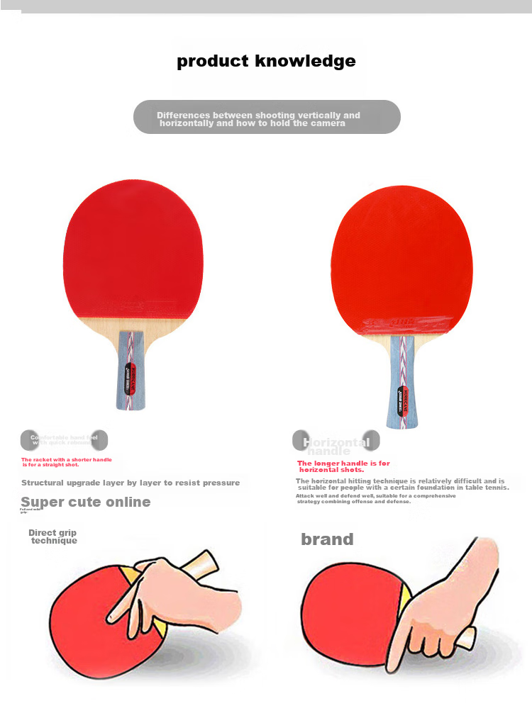 DHS Kuangbiao Gift Box Table Tennis Racket, Penhold Grip No.2, Rosewood Surface, Blue Sponge, Double-Sided Reverse Rubber Table Tennis Paddle 10