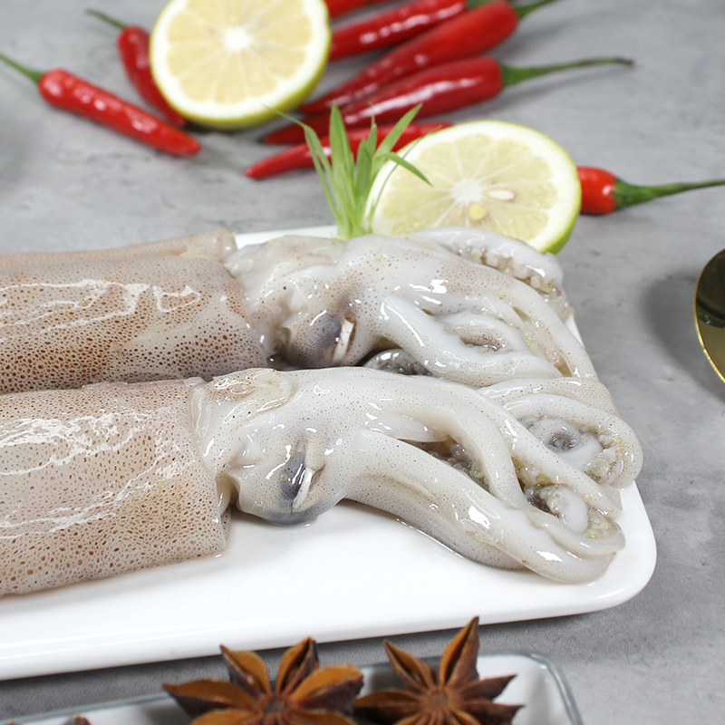 富海锦鲜冻整只鱿鱼1斤 2-4条 铁板鱿鱼 火锅烧烤食材海鲜软足 聚餐送礼