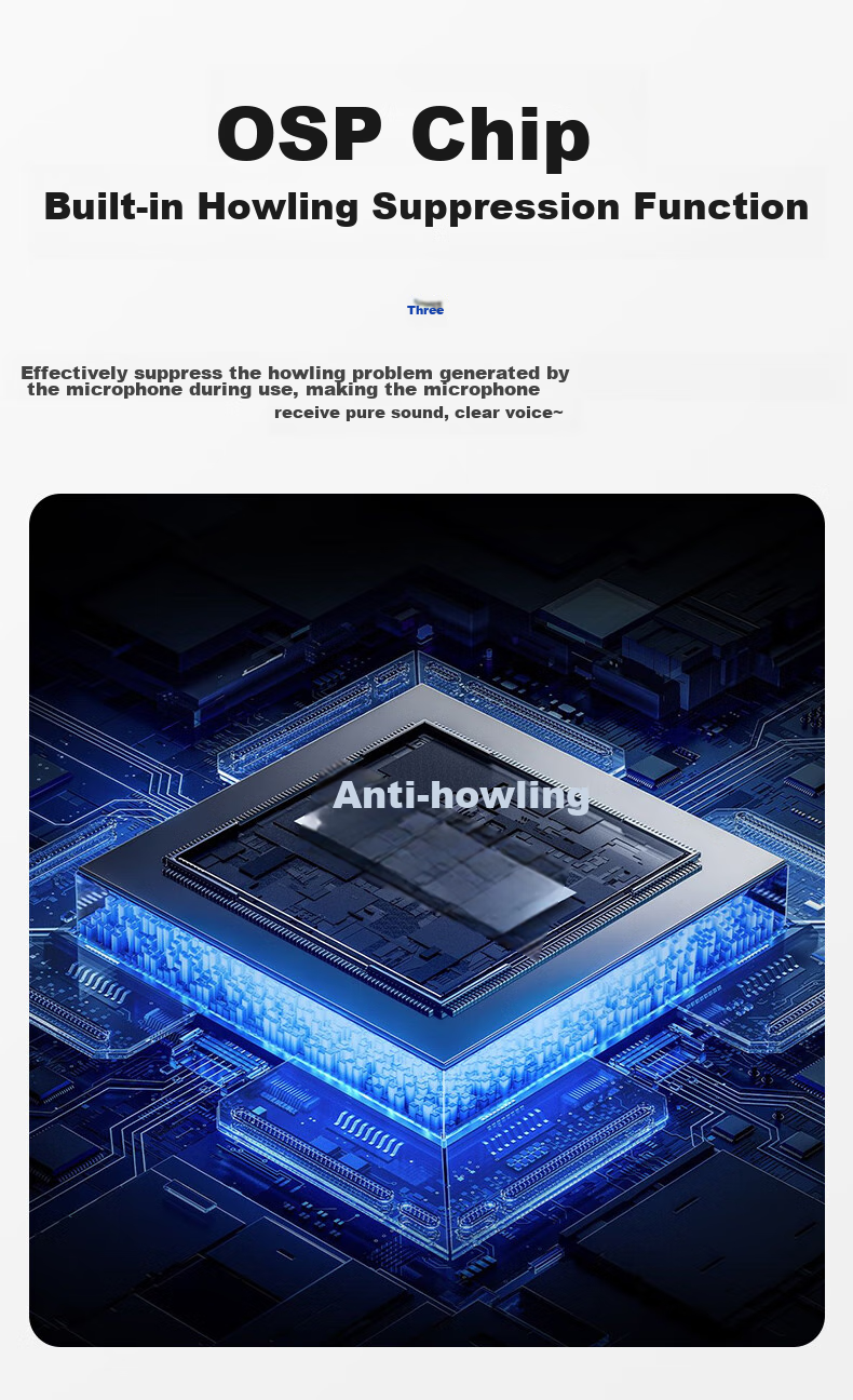 SAST Conference Room Sound System Set 10-Inch Home KTV Background Music Training Meeting Bluetooth Amplifier Wall-Mounted Speaker VD-202/K3*4 13