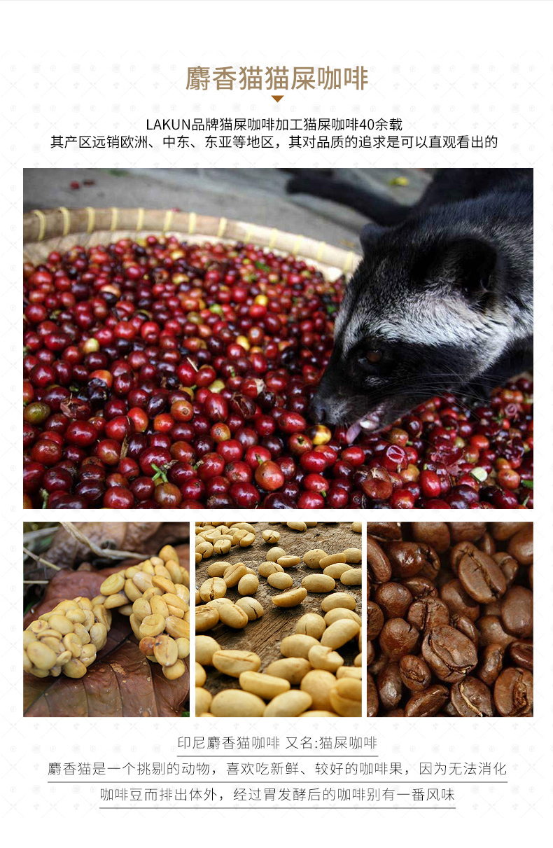 印尼原装进口拉昆lakungayo麝香猫猫屎咖啡豆60克5罐礼盒装300克