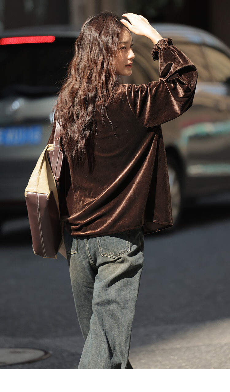 Dme [Retro Elegant Brown Shirt], Spring And Autumn Style, Silk Ribbon Collar, Velvet Blouse for Wome 20