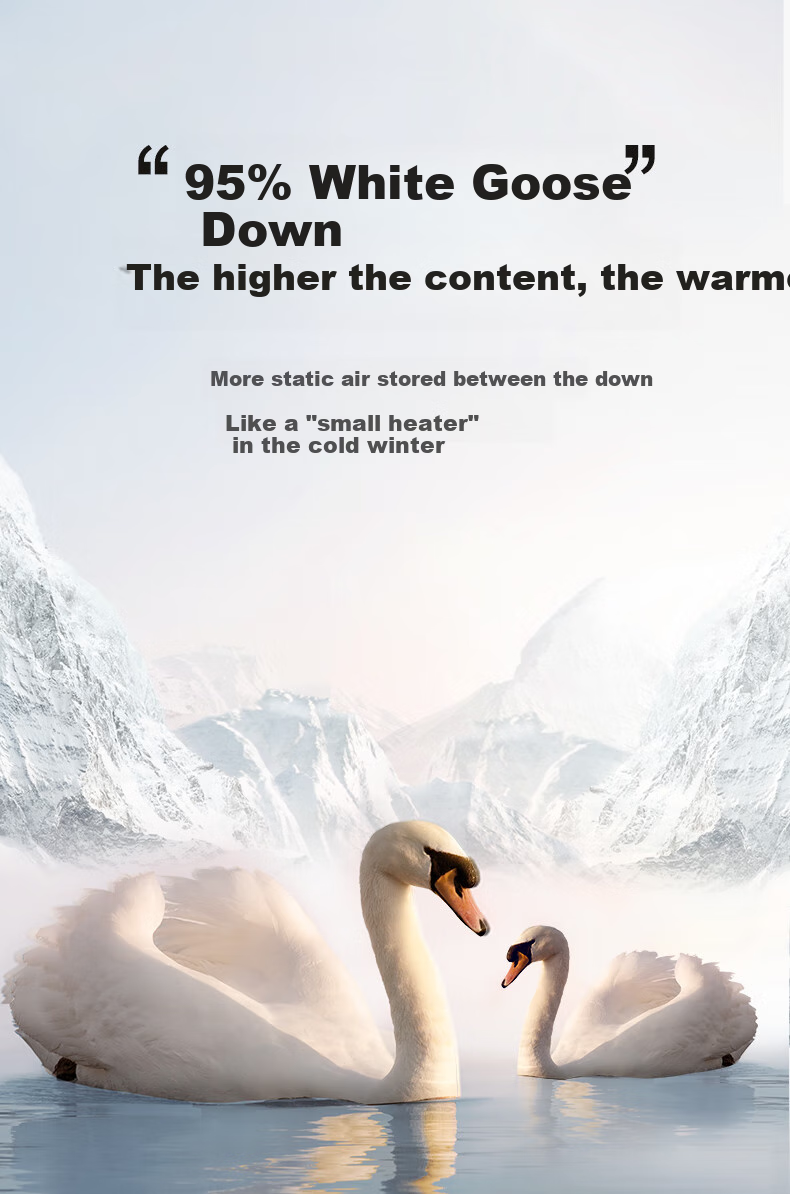 BEYOND Home Textiles, down Comforter, Antibacterial Washable 95% White Goose Down Duvet, Winter Quilt Insert, 550g Filling, 150*210cm 3