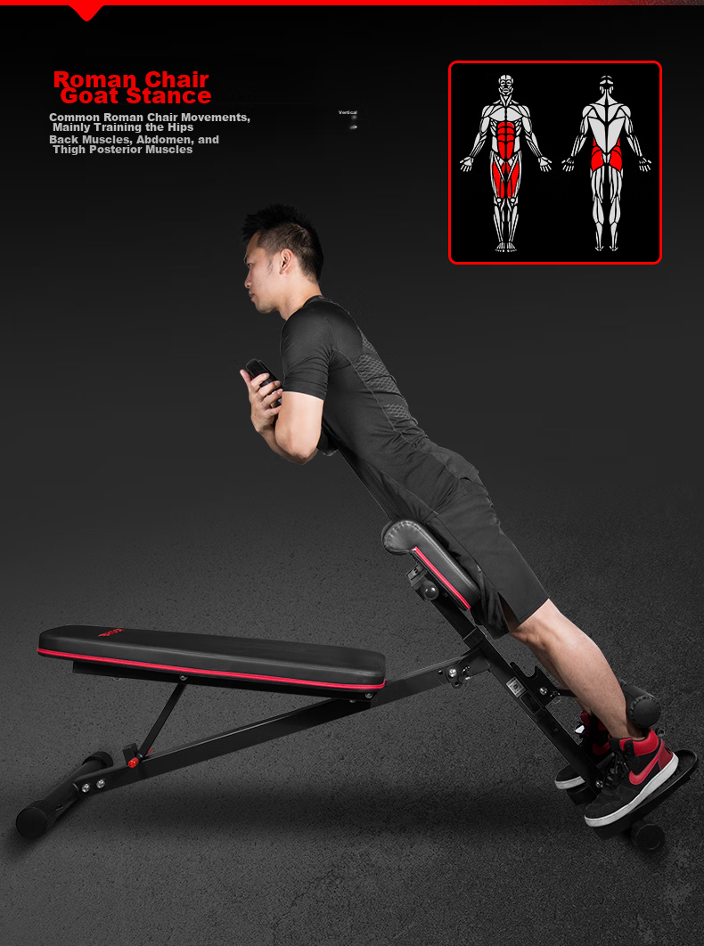 RIDO Roman Chair Adjustable Height Multi-Functional Dumbbell Bench for Home Gym Equipment TD35 11