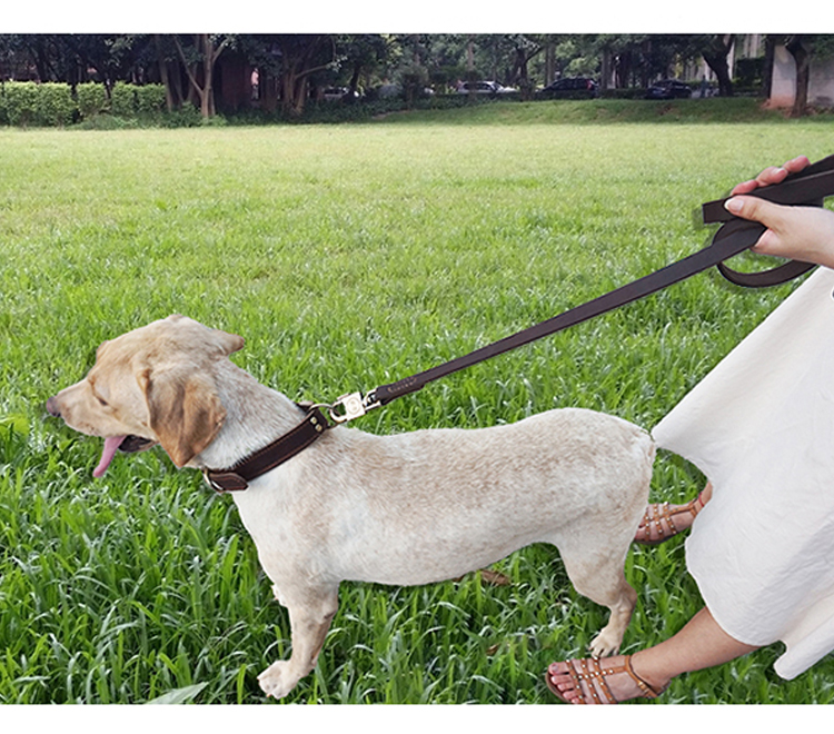 狗绳子宠物牵引绳狗链子狗项圈狗圈大型犬萨摩耶狗链大狗项圈狗脖套