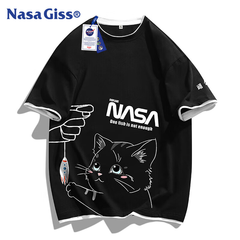 NASA GISS -01220924