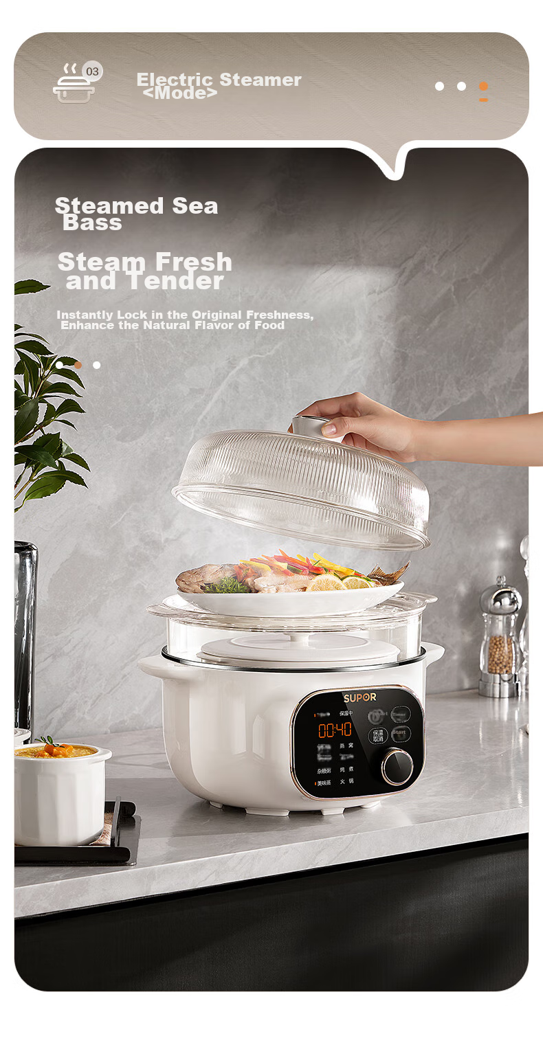SUPOR Electric Stew Pot, Electric Stew Cup, Double Boiler for Cooking, Home Use Porridge And Soup Pot, Bird's Nest Stew Cup, 4.5L White Porcelain Inner Pot, Soup Pot with Steaming And Stewing Functions, DZ25YC876 Multifunctional Pot 12