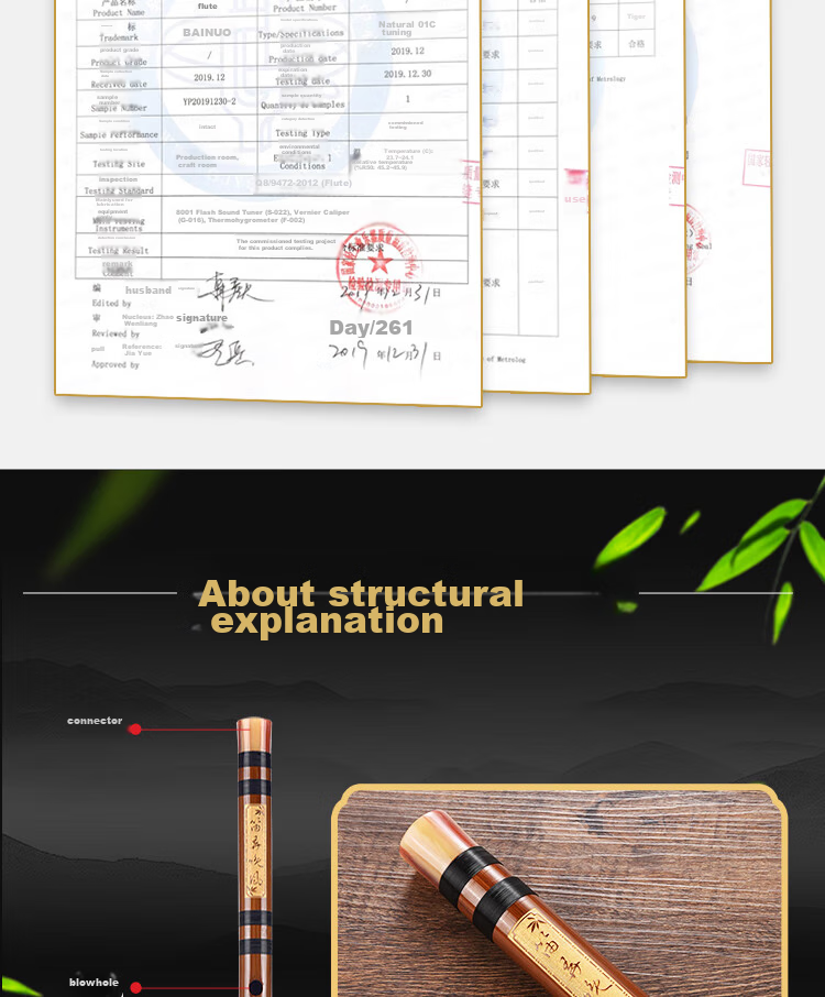 BAINUO Professional D Key Bamboo Flute for Beginners Adult Transverse Flute Student Grading Instrument with Blowing Aid 7