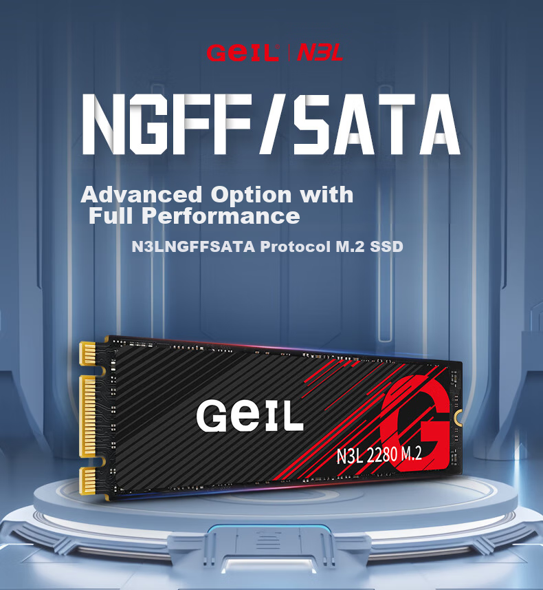 GEIL Jinbang 1TB SSD, M.2 SATA Protocol, 2280 NGFF, for Desktop And Laptop, High-Speed 500MB/S, N3L Series 2