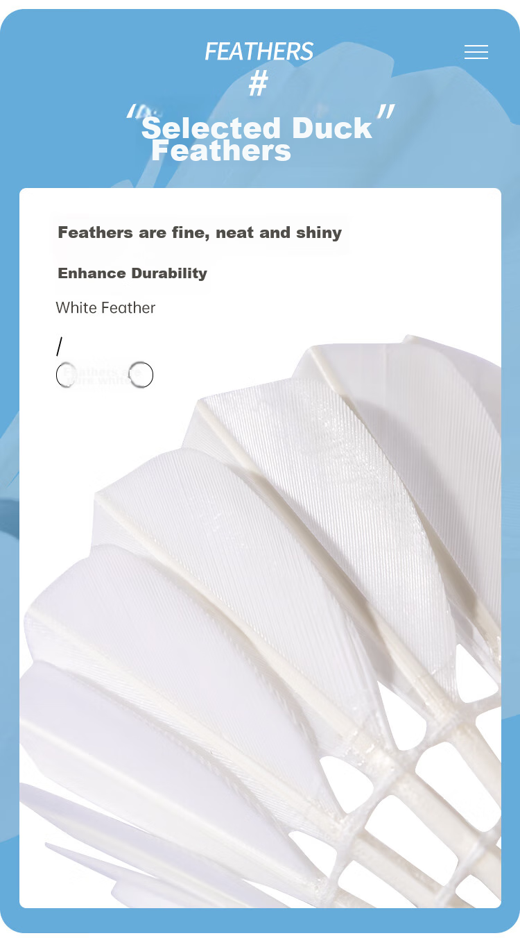 CHAO PAI Silver Super Feather Badminton Shuttlecocks, Duck Feather, Large Size, for Amateur Competitions, Pack of 12, Speed 77 5
