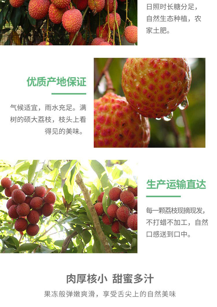 口味吊打妃子笑 京觅 广州桂味荔枝 粒果无枝叶 净重5斤装 图4