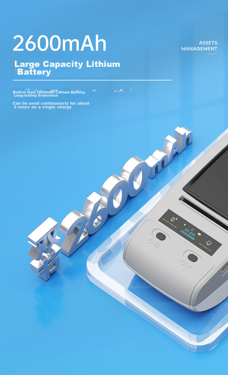 Detong DT-270 Label Printer, Fixed Asset Label Printer, Portable Adhesive Handheld Barcode Printer, Bluetooth Printer, DT-270 + 2 Rolls of Labels + Software 18