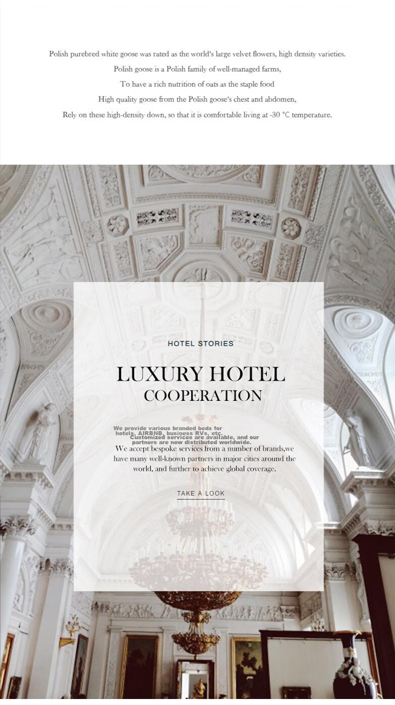 SIDANDA 100% Cotton Five-Star Hotel Pillow Core with Envelope Pillowcase, Water Blue Pillow Cover, Single Piece 48*74cm 9