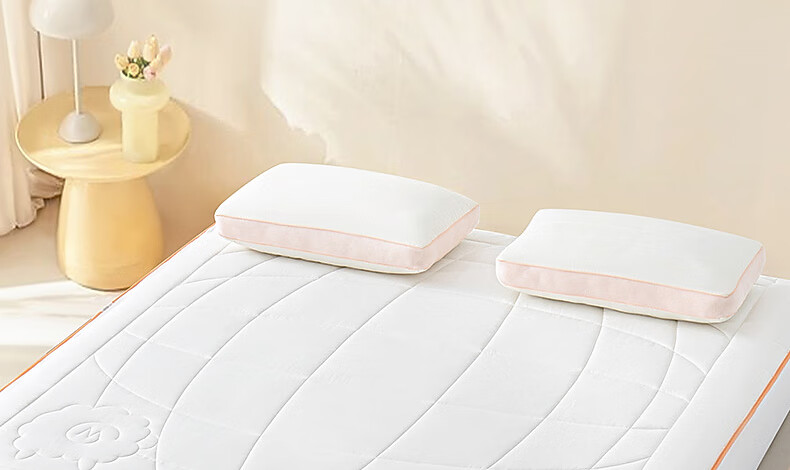 Shuixingjiafang Wool Mattress, Class A Antibacterial And Anti-Mite, Moisture-Absorbing And Heat-Generating, Foldable Bedding, 150*200cm, Thermal Heating 2