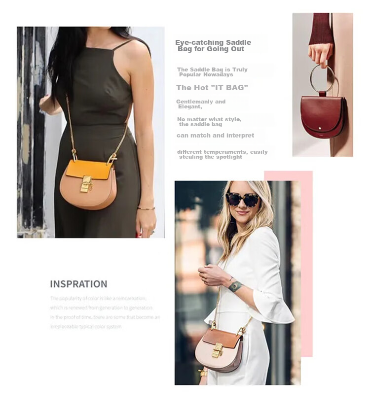 RED DRAGONFLY 2026 New Women's Handbag, Crossbody Shoulder Bag, Small Square Bag, Birthday Gift for Girlfriend, Wife, Or Mother 2