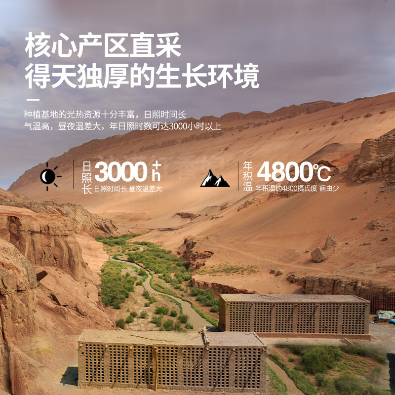 南疆巴朗 葡萄干特级黑加仑250g大颗粒提子干新货小包装年货