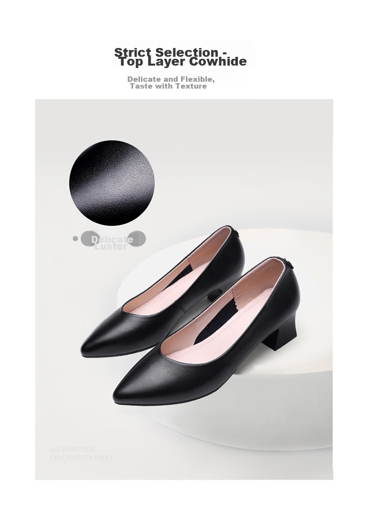 Qiangren Women's High Heels, Single Shoes, 5CM Thick Heel, Professional Business Shoes for Women, JDA170007, Black, Size 39 2