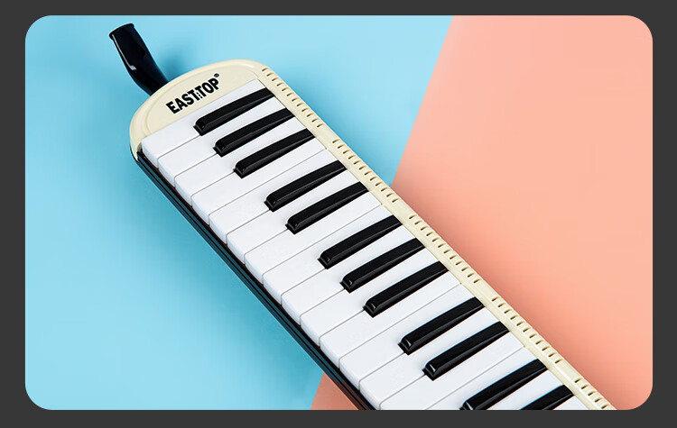 EAST TOP 37-Key Melodica T37, Beginner's Classroom Performance Instrument for Children, Musical Enlightenment Tool, White 15