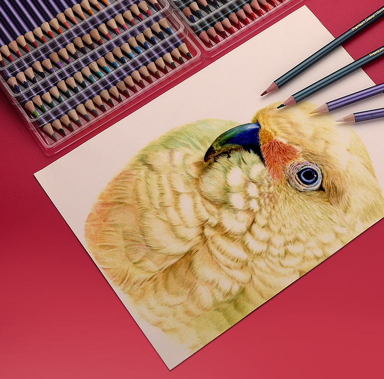 蒙玛特(mont marte)彩铅72色 彩色铅笔水溶性彩铅美术专业绘画铅笔