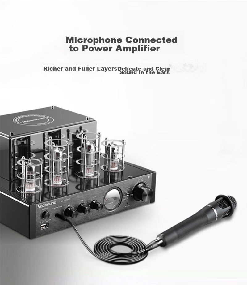 Beishanque 6.35mm to XLR Female Cable, Male to Female Audio Microphone Cable, Dual-Core XLR Single-Channel Connector for Microphone, Mixer, Speaker Amplifier Connection Cable, 5 Meters 5