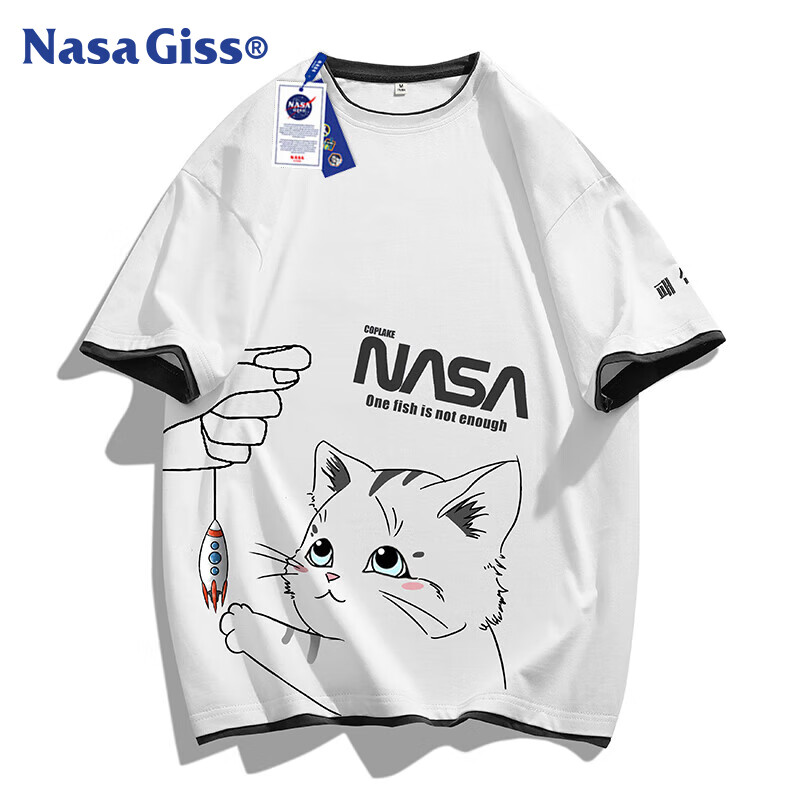 NASA GISS -01296675