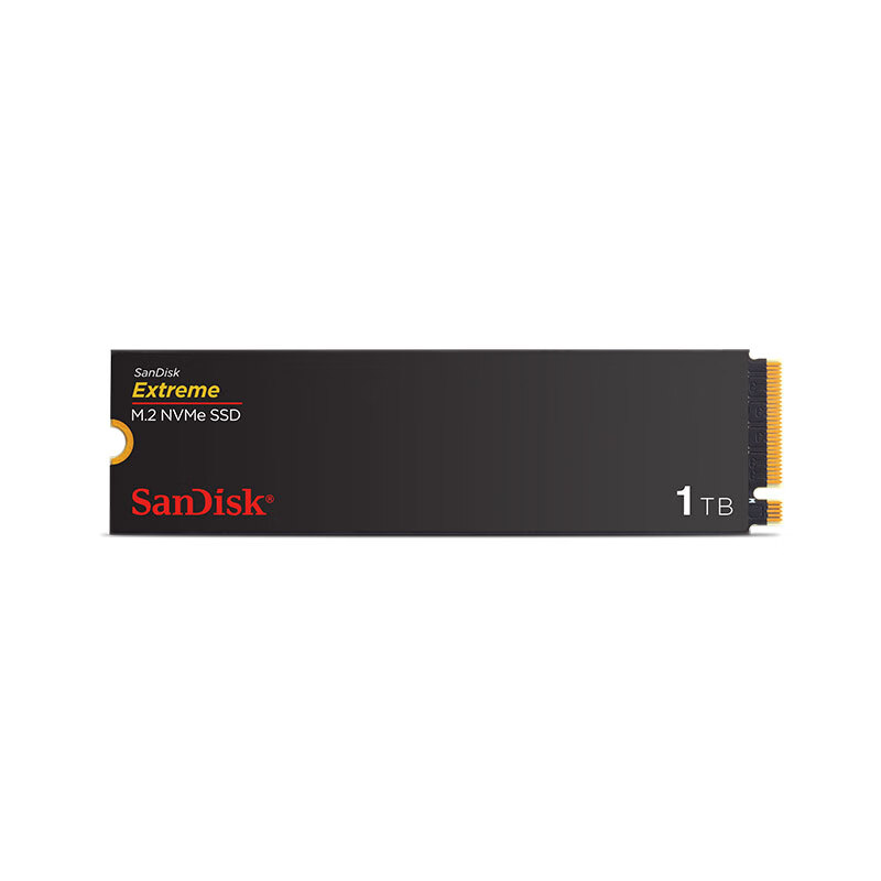 SanDisk, 1-0146689