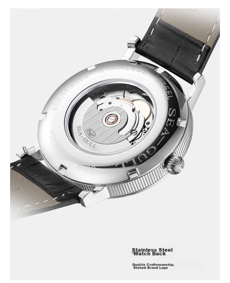 SEAGULL Men's Automatic Mechanical Watch, Bauhaus Date Display Men's Watch, Birthday Gift for Men, Model 6091 36