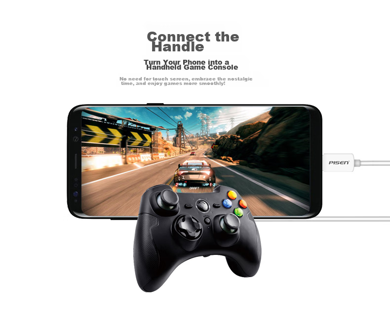 Pisen Type-C Adapter USB OTG Data Cable, Phone USB Drive Tablet Adapter for Apple IPad Huawei Xiaomi OPPO Vivo Phones MacBook Laptops 5