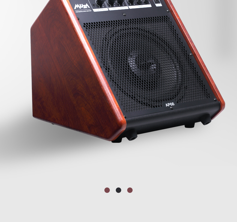 MEDELI AP66 2021 Electronic Drum Bluetooth Professional Speaker 2