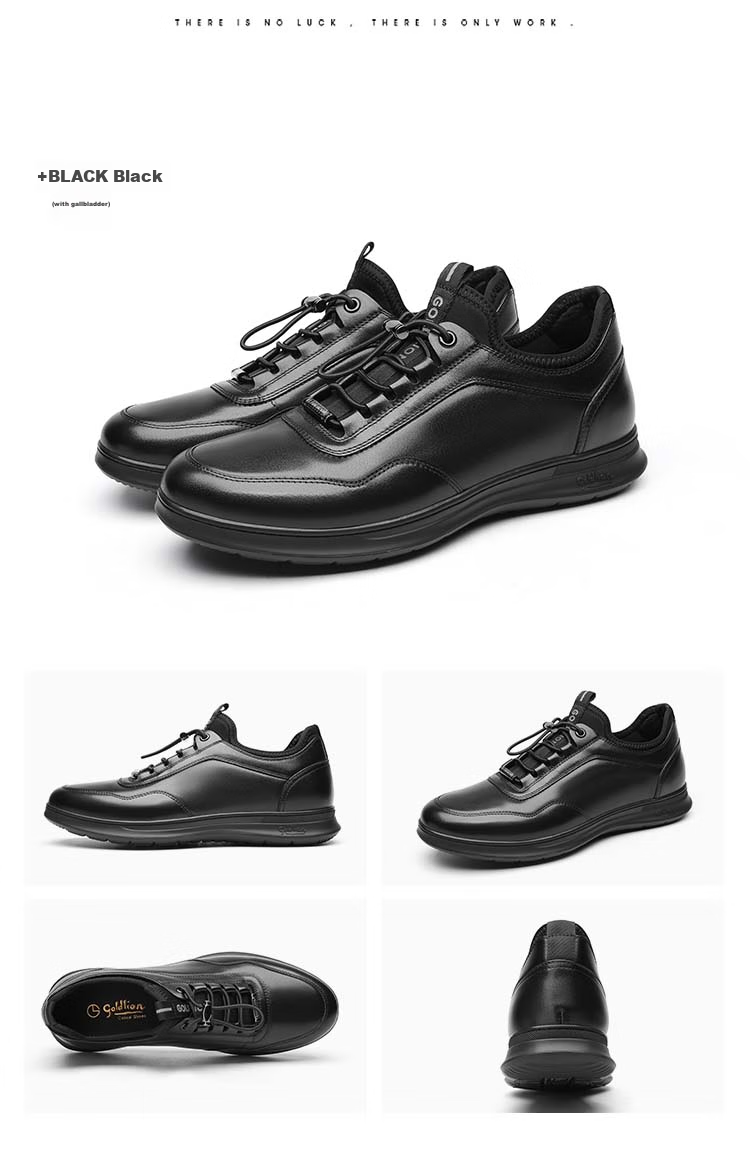Goldlion Men's Shoes, Business Casual Shoes, Fashionable Comfortable Soft Elastic Band Leather Shoes G539410008AAA with Lining, Size 41 18
