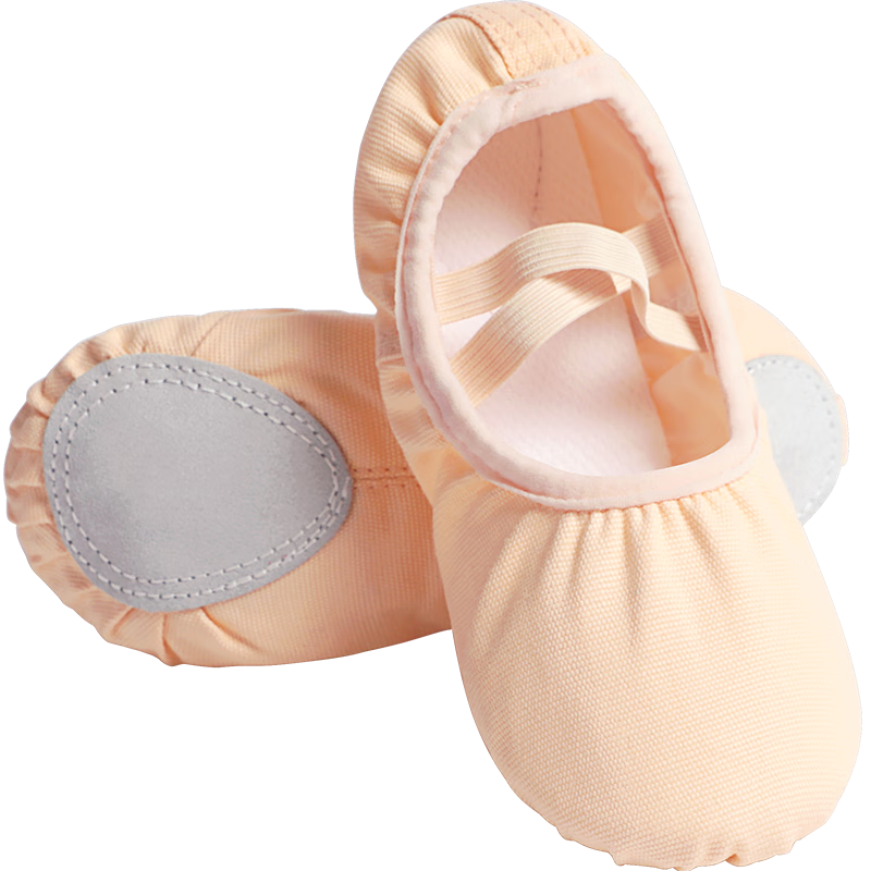 Aiwuge Dance Shoes for Girls, Children's Slip-On Professional Soft Sole Shoes, Ballet Performance Practice Shoes, Flesh Color-Slip On Size 35