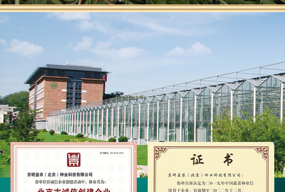 京研胡萝卜种子早熟高产三红无黄圈无青肩抗病耐热耐寒家庭园艺露地