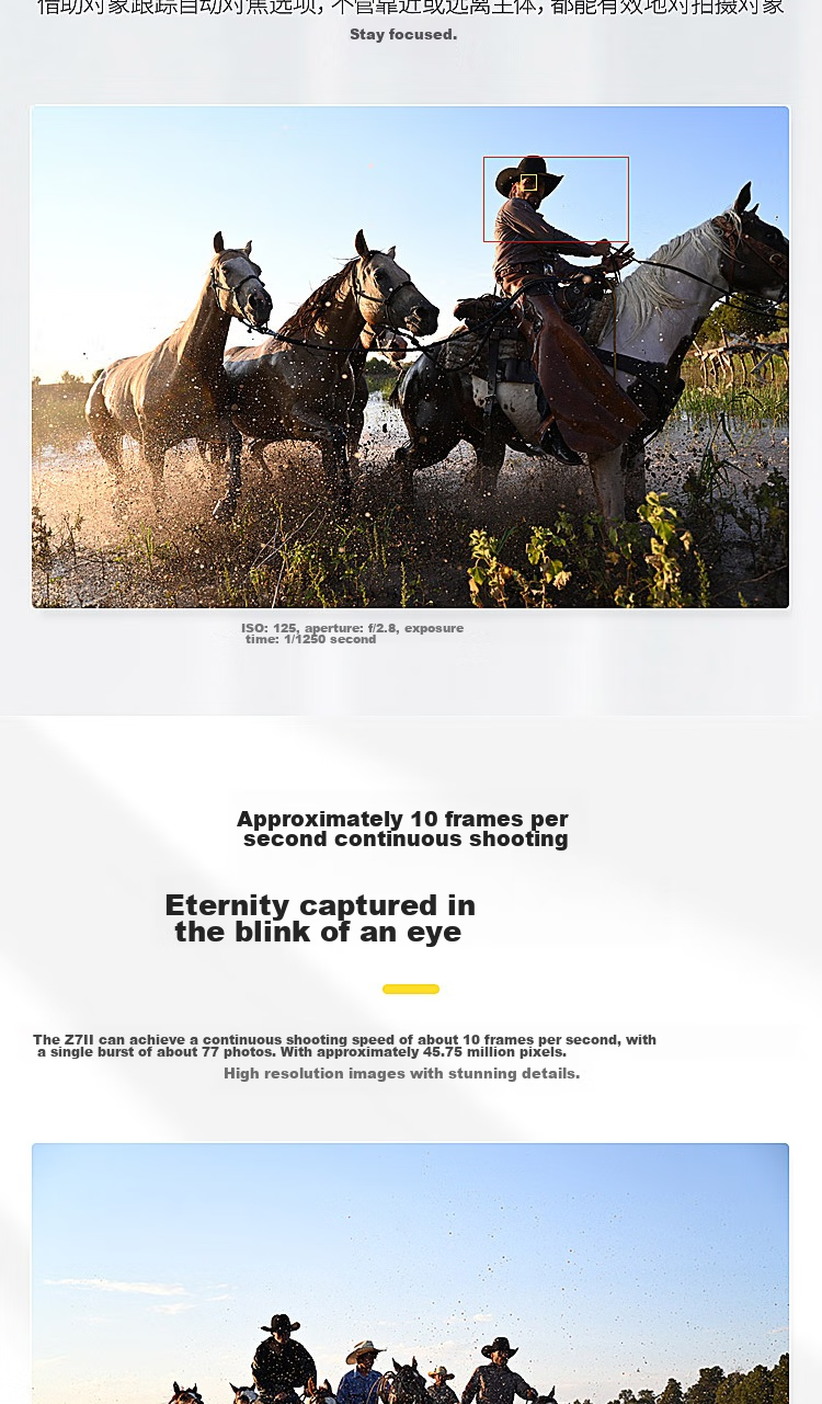 Nikon Z7II [Subsidies] Full-Frame Balanced Mirrorless Camera, 5-Axis Image Stabilization, High Value for Money, Balanced Performance, Z72/Z7 Second Generatio 7