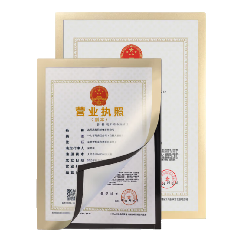 DSB (Disbi) A4 Magnetic Display Stand, Business License Protection Cover, Original Frame, Certificate of Honor Award Protection Cover, Business License Display Frame, Gold Color, 1 Piece, D12G1