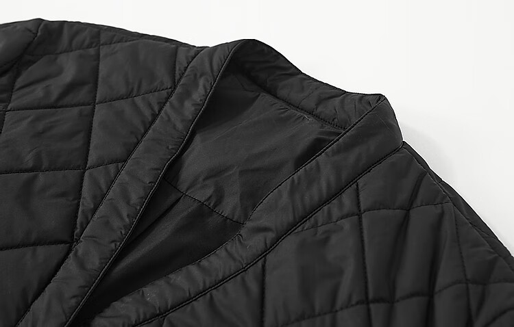 Dme [Laoqian Yinxiang] Winter Luxury Matte Light Luxury 400T Spring Yarn Diamond-Quilted Women's Cotton Jacket 8