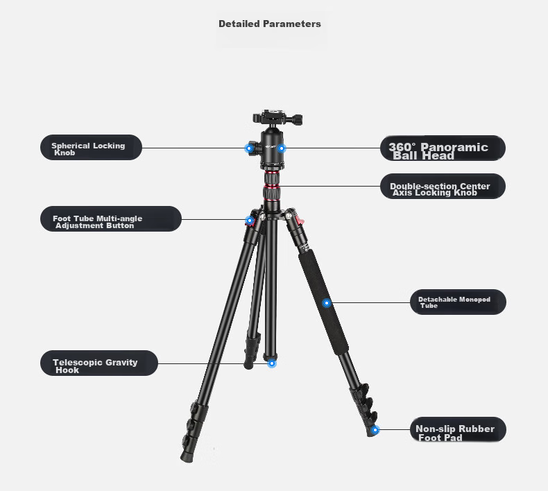 NEEWER Aluminum Alloy Tripod Portable 2-Section Center Column with Phone Clamp for Mirrorless And DSLR Cameras, Travel Tripod Inverted Panoramic Ball Head Ultra-Light Tripod TP77 12