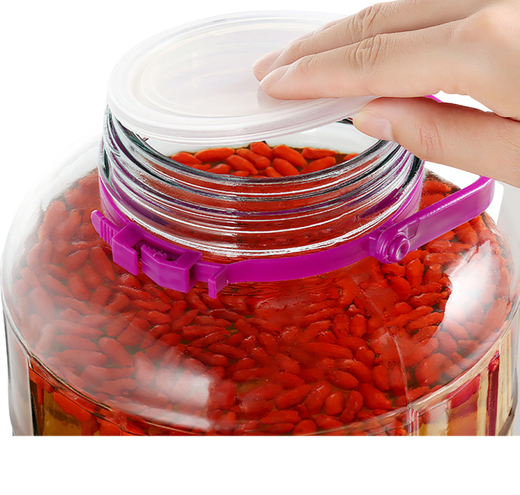 Baijie Liquor Infusion Container, Pickle Jar, Sealed Jar, Wine Bottle, Glass Jar, Wine Infusion Jar, Brew Jar, Plum Wine Bottle, 16 Ji 1
