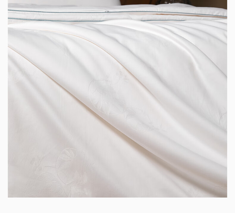 SILKUEEN [Lanyu] 100% Premium Mulberry Silk Comforter Core, All-Season Parent-Child Silk, Weight 1+3 Jin (500g), 220*240cm [White] 22