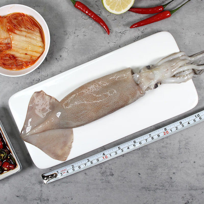 富海锦鲜冻整只鱿鱼1斤 2-4条 铁板鱿鱼 火锅烧烤食材海鲜软足 聚餐送礼