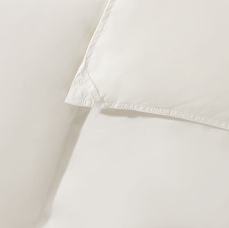 Interlagos Class A 90% White Goose Down Comforter, Imported from Japan, Air Conditioning Quilt, 280g, 200*230cm, White 25