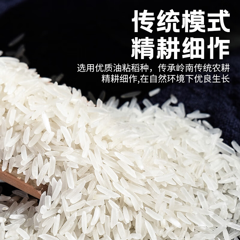 太粮荟京选岭南油粘米籼米南方大米10斤长粒猫牙米当季新米