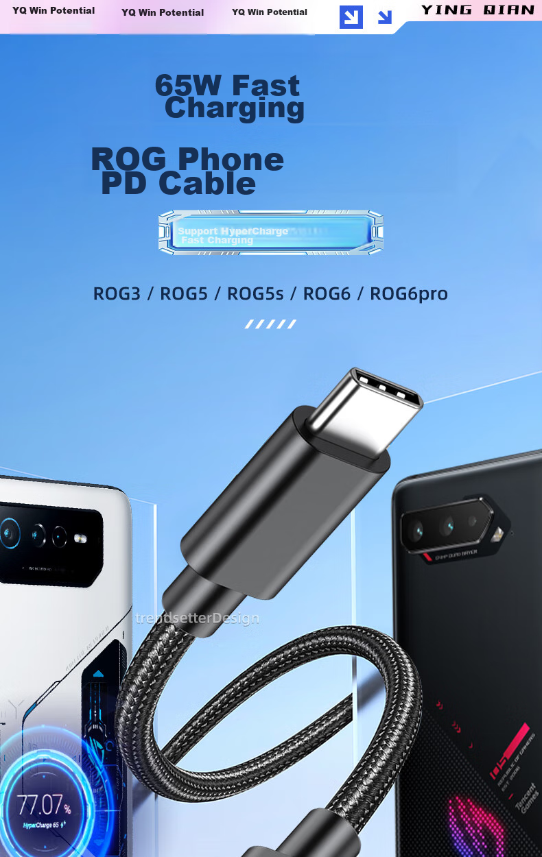 Yingqian Compatible with ASUS ROG Data Cable, Dual Type-C Charging Cable, 65W PD Fast Charging, for ROG9/8/7/6/5/5s, Samsung S24/S23/S22/S21/S20 Phone Charger Cable 1