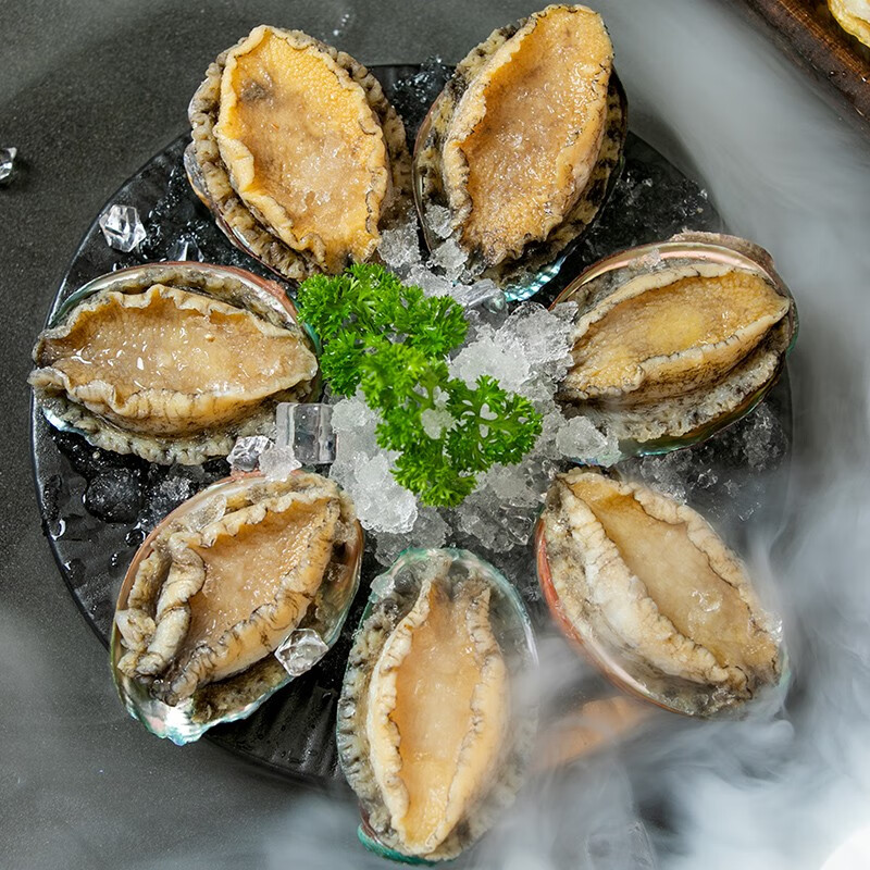 江船长冷冻大鲍鱼 净重400g 10粒袋装 火锅食材 贝类生鲜
